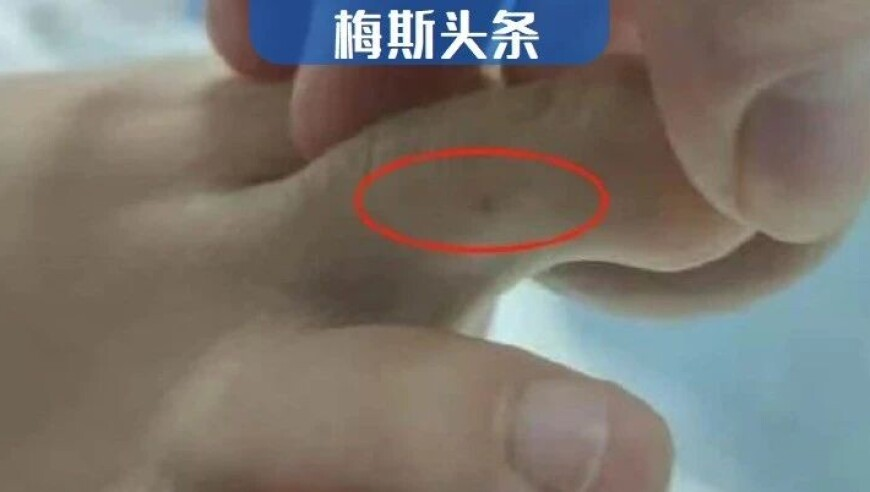 第六届长春冰雪新天地将闭园,刘伯温四肖资料图库,机构预测与落实方法揭秘_体验版V6.54